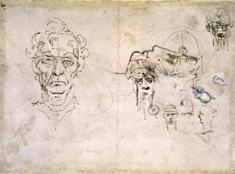 Anatomische studies